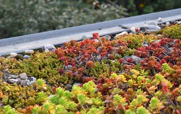 the cost of Bradford green roof installation