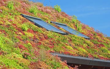 Bradford living roof systems