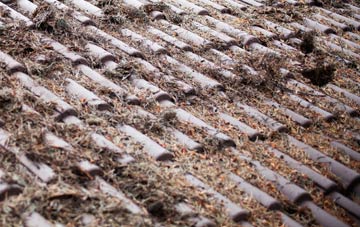 Bradford roof cleaning companies