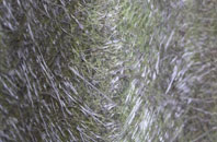 Bradford fibreglass roof work